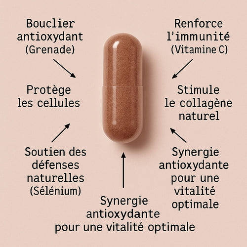 ANTIOXYDANT NATUREL PREMIUM - Protection Cellulaire